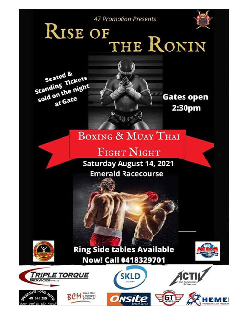 download rise of ronin